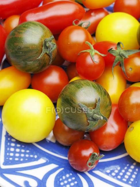 Plate of various tomatoes — Stock Photo