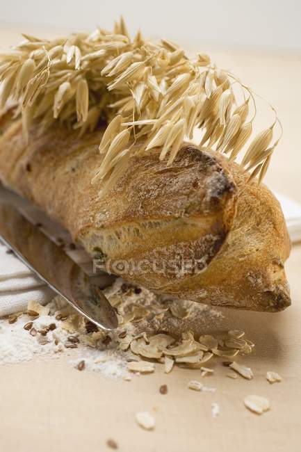 Wholemeal baguette with cereal ears — Stock Photo