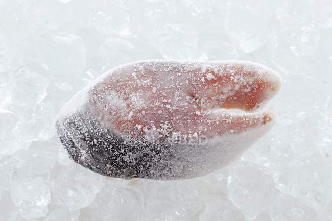 Filete de salmón congelado - foto de stock