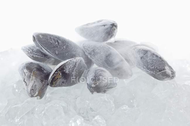 Mejillones frescos congelados - foto de stock