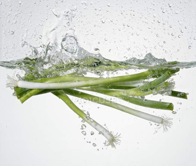 Spring onions in water — Stock Photo