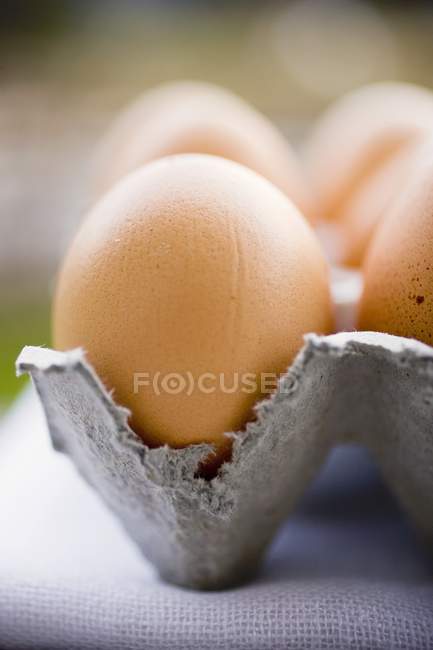 Куриные яйца в картонной коробке — стоковое фото