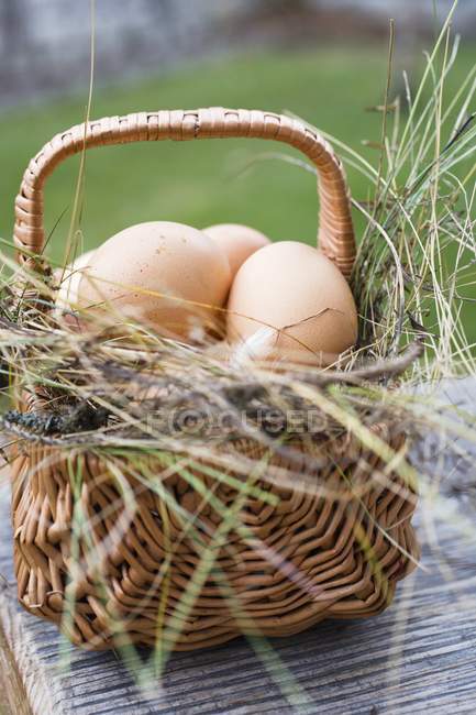 Uova marroni nel carrello — Foto stock