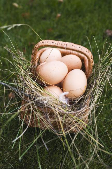 Uova marroni nel carrello — Foto stock