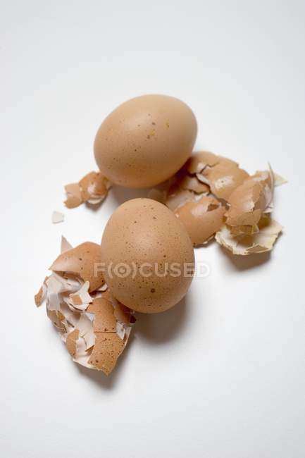 Два коричневых яйца — стоковое фото