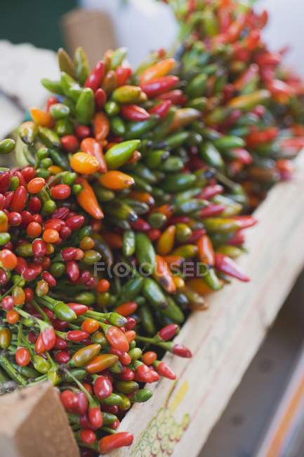 Green chillies in crate — Stock Photo