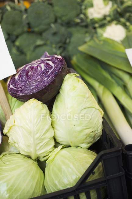 Pointed and half red cabbages — Stock Photo