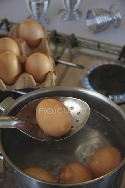 Huevos en olla de agua - foto de stock