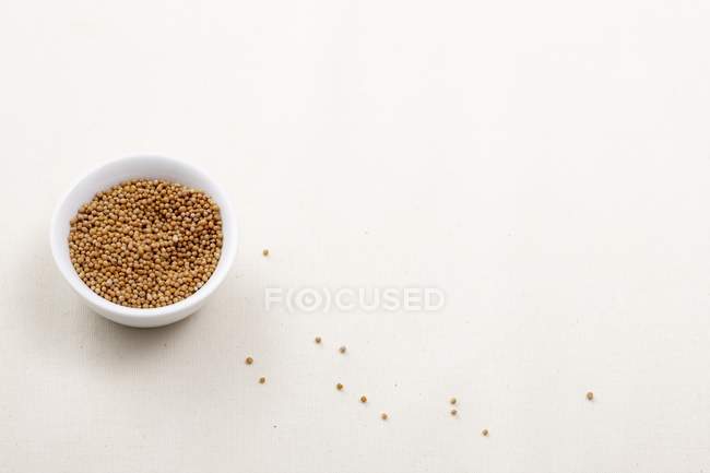 Tazón de semillas de mostaza - foto de stock