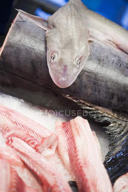 Fresh-caught fishes at farmer market — Stock Photo
