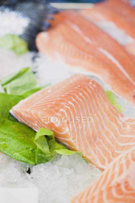 Fresh salmon fillets on ice — Stock Photo