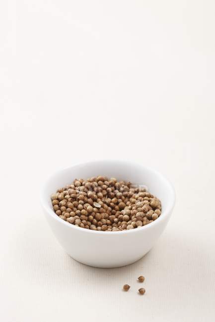 Tigela de sementes de coentro — Fotografia de Stock