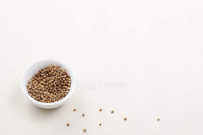 Graines de coriandre dans un bol — Photo de stock
