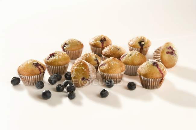 Mini blueberry muffins with blueberries — Stock Photo