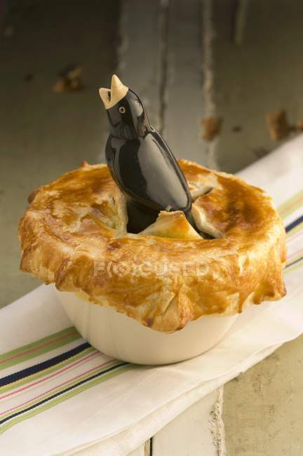 Meat pie in dish — Stock Photo