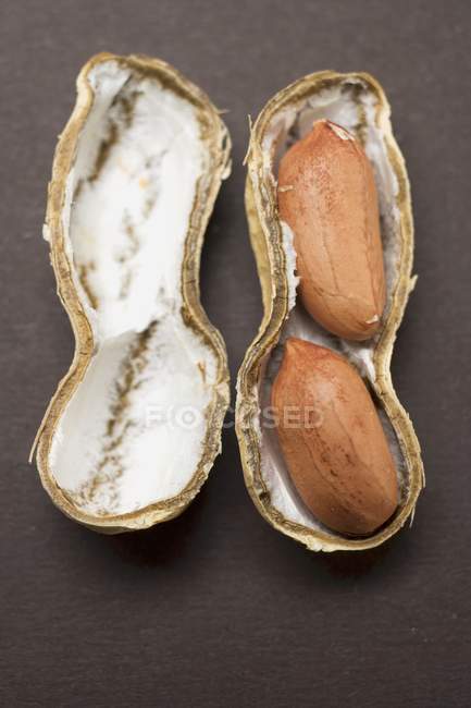 Rohe Erdnuss geöffnet — Stockfoto