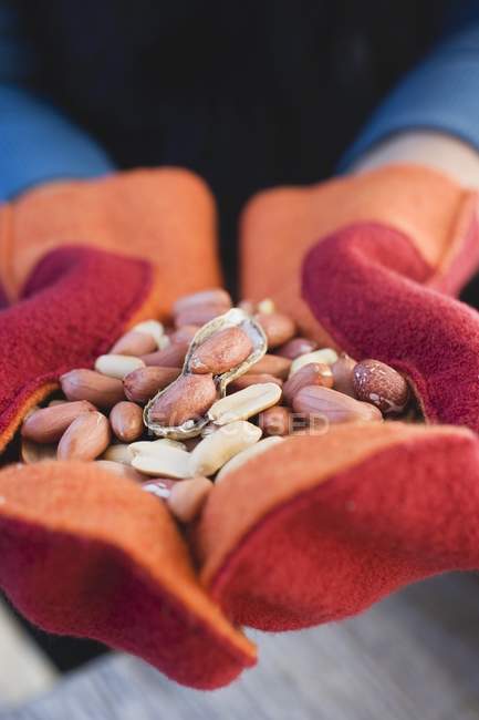 Mãos a segurar amendoins — Fotografia de Stock