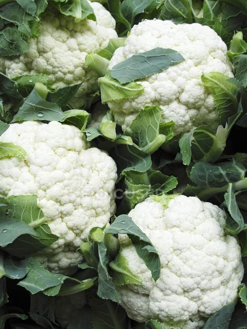 Cauliflowers, vista de perto — Fotografia de Stock
