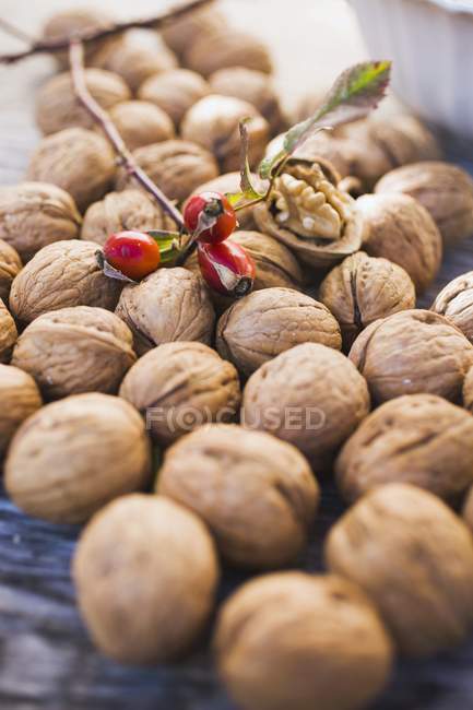 Орехи и шиповник — стоковое фото