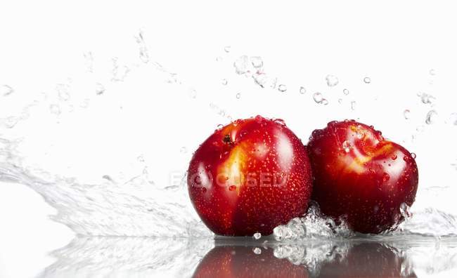Fresh ripe plums in water — Stock Photo