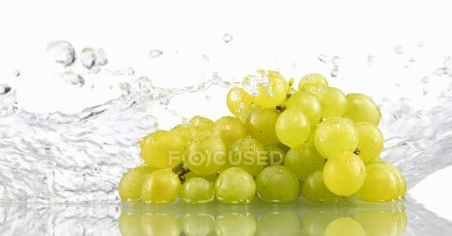 Green grapes being washed — Stock Photo