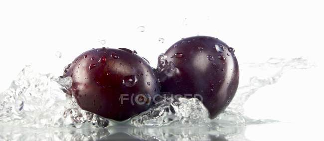 Ciruelas frescas maduras en agua - foto de stock
