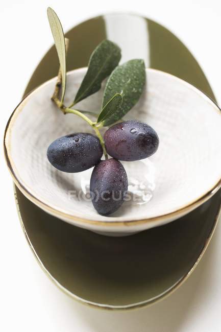 Sprig with black olives — Stock Photo