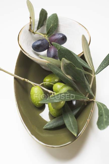 Веточки с оливками черного и зеленого цвета — стоковое фото