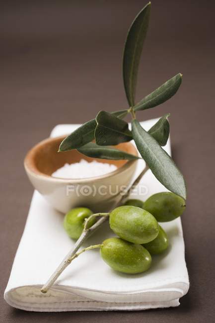 Rígido de azeitona com azeitonas verdes — Fotografia de Stock