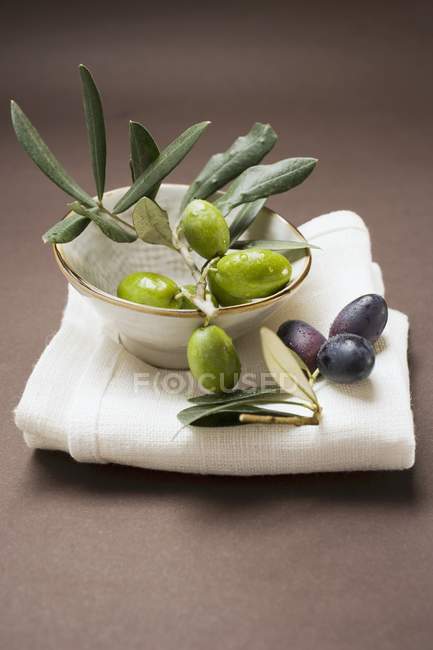 Оливковая веточка с зелеными оливками — стоковое фото