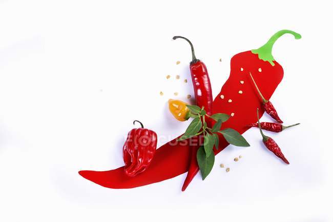 Fresh chilli peppers — Stock Photo