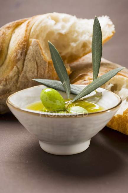 Olivenzweig mit grünen Oliven — Stockfoto