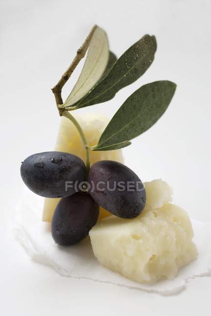 Schwarze Oliven auf Zweigen — Stockfoto