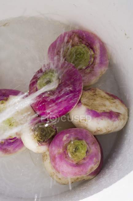Washing turnips in bucket — Stock Photo