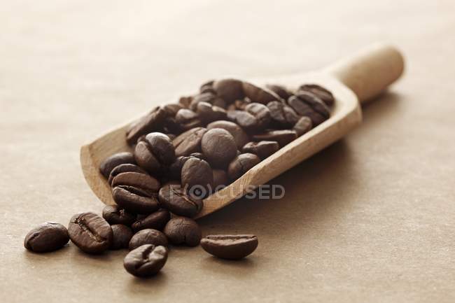 Coffee beans on wooden scoop — Stock Photo