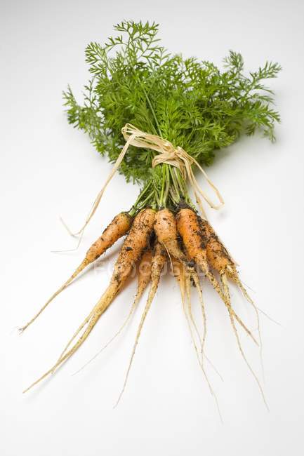 Jeunes carottes fraîches cueillies — Photo de stock