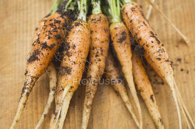 Jóvenes zanahorias frescas recogidas - foto de stock