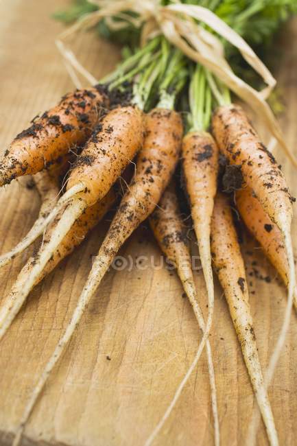 Jóvenes zanahorias frescas recogidas - foto de stock