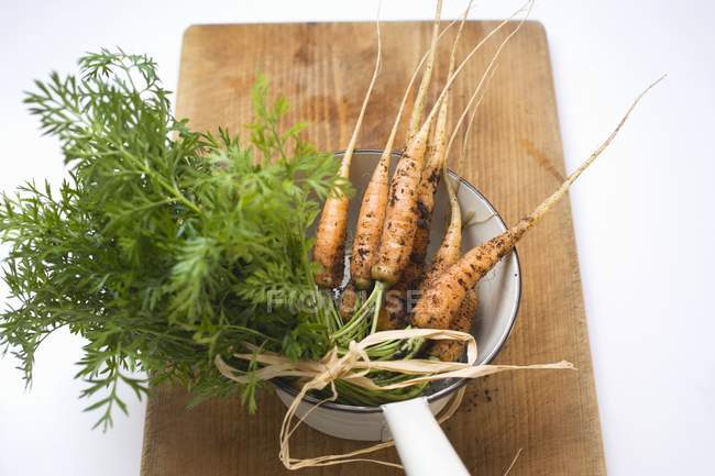 Zanahorias frescas recogidas en colador - foto de stock