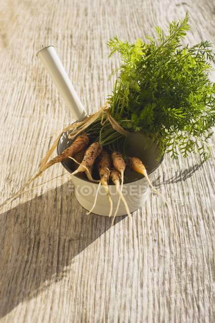 Fresh picked carrots in strainer — Stock Photo