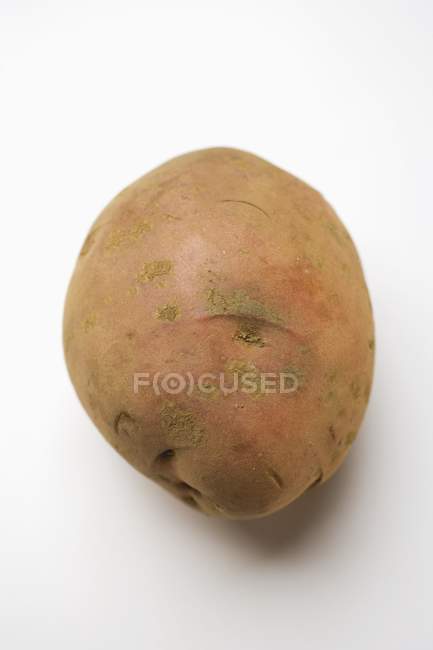 Raw red potato — Stock Photo