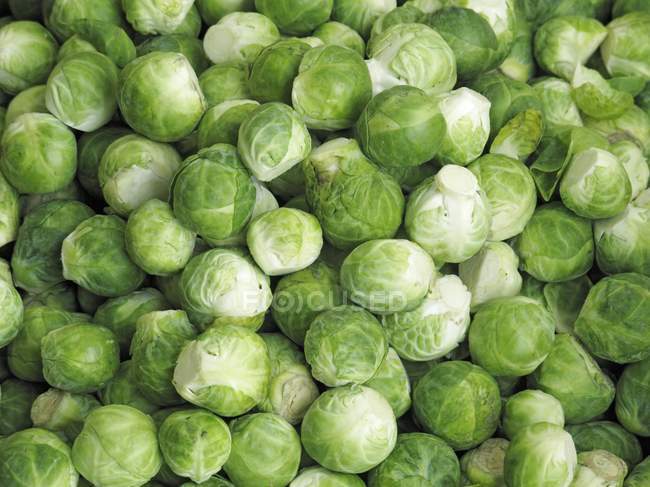 Fresh brussels sprouts — Stock Photo