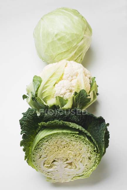 Cauliflower and savoy cabbage — Stock Photo
