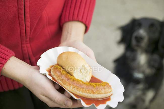 Крупный план рук, держащих колбасу с кетчупом и порошком карри в бумажной тарелке — стоковое фото