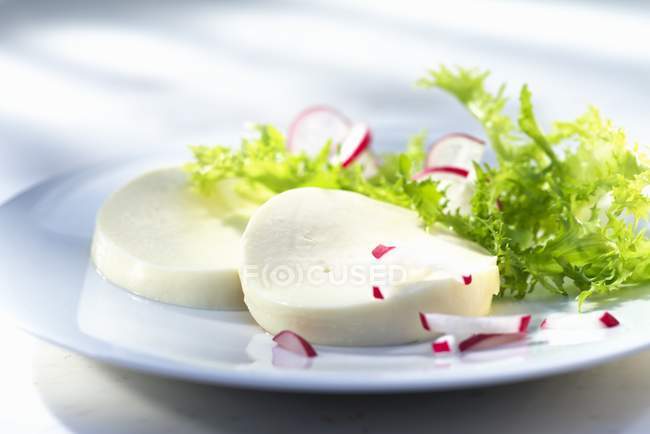 Mozzarella with radishes and lettuce — Stock Photo