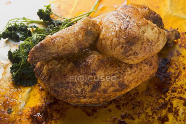 Половина жареной курицы с петрушкой — стоковое фото