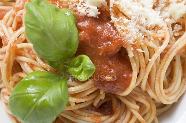 Спагетти с томатным соусом и базиликом — стоковое фото