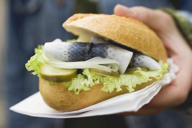 Man holding Herring in bread roll — Stock Photo