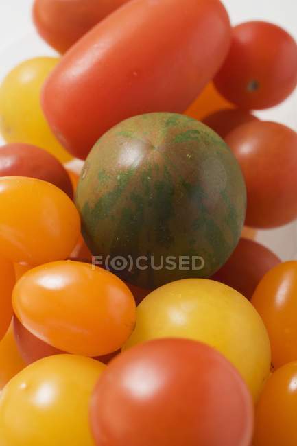 Varios tipos de tomates - foto de stock