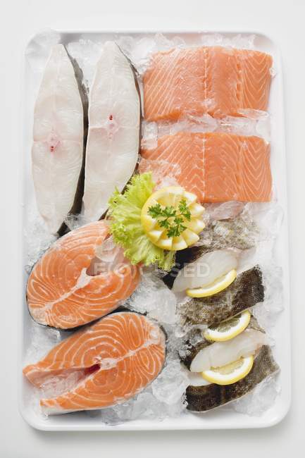 Pezzi freschi di salmone e spigola — Foto stock